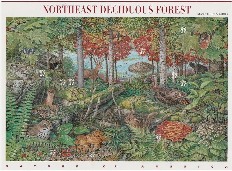 USA Stamp Sheet _ NORTHEAST DECIDUOUS FOREST _ 10 Pcs 37 Cent Stamp - MNH - Image 1 of 1