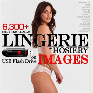6,300+ Images on USB Flash Drive - Women in LINGERIE + HOSIERY SEXY poses! - Picture 1 of 21