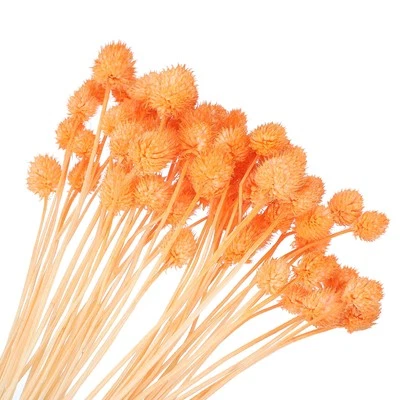 Getrocknete Blumen für die Vase, 16" Mini-Kiefernkugeln, Orange (Stiel) 60 Stück - Bild 1 von 4