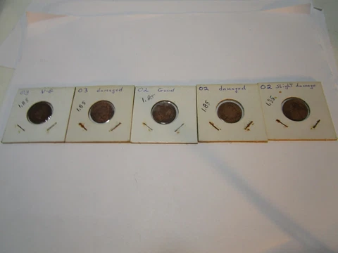 ANTIQUE 1902-1903  NATIVE AMERICAN-INDIAN HEAD PENNIES-COINS Cover