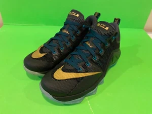 NEW NIKE ZOOM LEBRON XII LOW SVSM SZ 9.5 JORDAN 12 ST VINCENT MARY 19 SPACE JAM - Picture 1 of 19