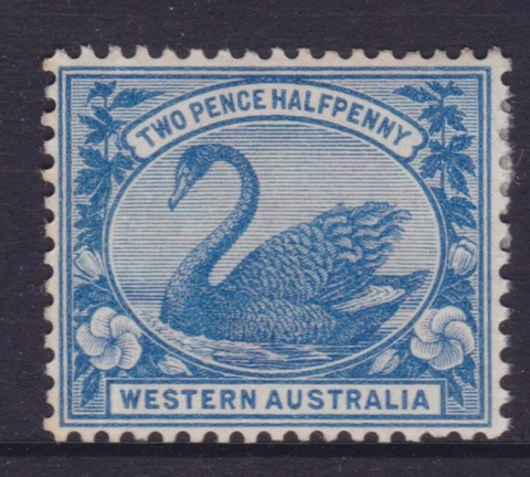 WESTERN AUSTRALIA 1901 2 1/2d Blue SWAN  MINT/MH SG 114  (NG40.2) Cover