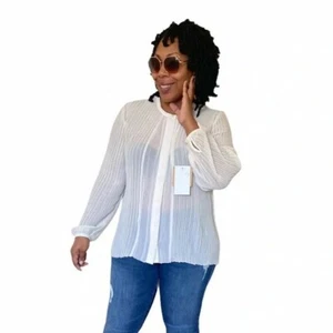 Rachel Roy Top Womens Size L Blouse Pleated Sheer Button up Beige NEW - Picture 1 of 8