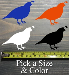 Quail Decal Sticker Hunting Bird Pheasant Grouse Wildlife Dog Feathers Ringneck - Picture 1 of 22