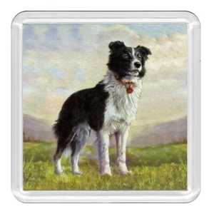 Border Collie Dog Acrylic Coaster Novelty Drink Cup Mat Great Gift - Picture 1 of 1