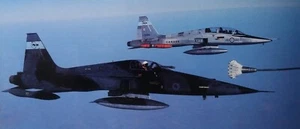 Hasegawa Bausatz 1:32 F-5E &. CF-116 Resin Conversionkit Cokebottles v. Zubehör - Bild 1 von 15