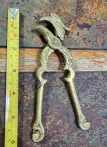 ANTIK ODER VINTAGE MASSIV MESSING ADLER 🦅/ VOGEL🐦 KOPF NUSS KNACKER  - Bild 1 von 6