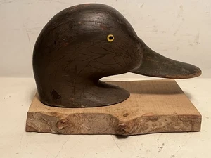 madison mitchell black duck drake decoy head mount - Bild 1 von 12