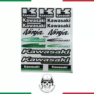 🇮🇹 kiT ADESIVI MOTO CASCO KAWASAKI NINJA DECALCOMANIA SPONSOR IN PVC REFLECTIV - Imagen 1 de 3