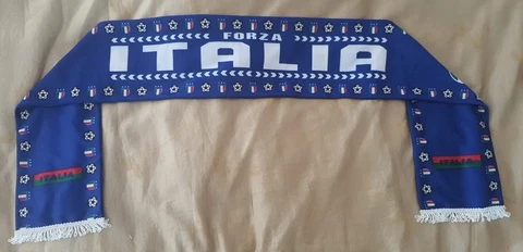 Italy Scarf-2 sided w/tassels,Polyester material,for wearing or decoration Cover