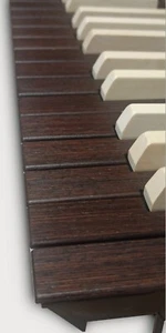 TASTIERA PROFESSIONALE ORGANO RICOPERTA LEGNO - PROFESSIONAL ORGAN KEYBOARD - Foto 1 di 3