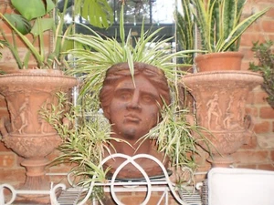 VINTAGE ROMAN,GRECIAN BUST PLANTER,GARDEN,ORANGERY,HOME - Picture 1 of 9