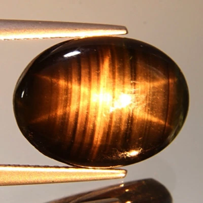 10.70Cts Explosive Natural best 6 rays 100% Natural Black star sapphire - Image 1 of 4