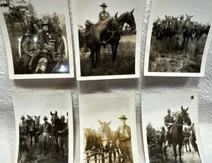Vtg WW1 Photo Lot Of 6 US Army Calvary-Men-Horses-Cannon - Picture 1 of 7