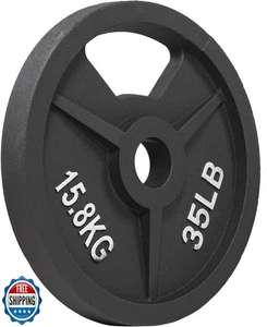 Elevon 2-Inch Cast Iron Weight Plate for Strength Training and We - Picture 1 of 5