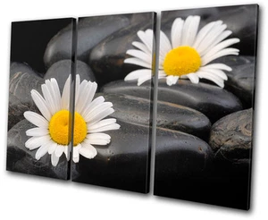 Quadro bagno margherita ciottoli TREBLE CANVAS WALL ART stampa VA - Foto 1 di 1