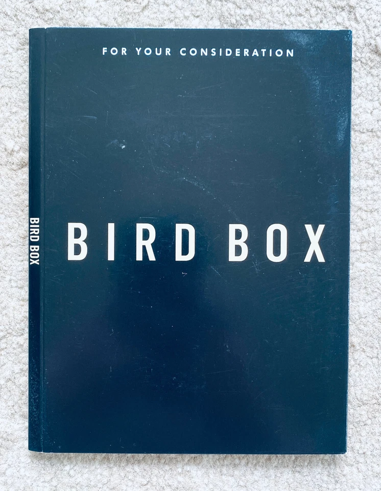 Bird Box DVD Netflix FYC For Your Consideration Screener Promo Sandra Bullock - Image 1 of 3