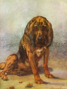 Perro Bloodhound, hermoso estampado de lino a color de los años 30 por Maud Earl - Imagen 1 de 3