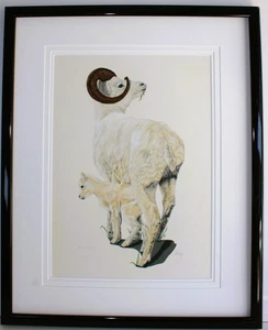 ORIGINAL GEMISCHTES ÖLGEMÄLDE KARTON SIGNIERT ANDERSON DALL SCHAFE WILDTIERE KUNST - Bild 1 von 13