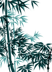 Green Bamboo A1 High Quality Canvas Print - Picture 1 of 1