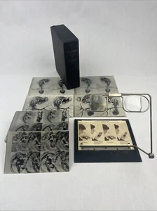 Stereoscopic Atlas of the Chick 113 Plates W/ Rare Folding Stereoscope - Picture 1 of 8