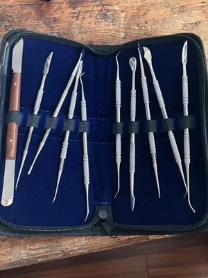 ] Juego de herramientas para tallar y esculpir cera de 10 piezas Kit de instrumentos dentales Foto 1 de 4