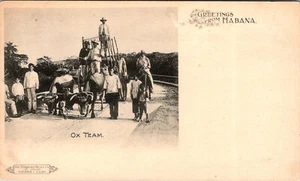 GREETINGS FROM HABANA CUBA - OX TEAM - UNDIVIDED BACK PRIVATE POSTAL CARD - Picture 1 of 2