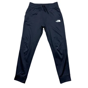 The North Face Herren Train N Logo Jogginghose Grid Fleece gefüttert Gr. S schwarz - Bild 1 von 11