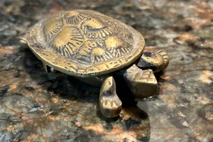 Vintage Brass Turtle Trinket Box Hinged Tortoise Jewelry Holder - Picture 1 of 13