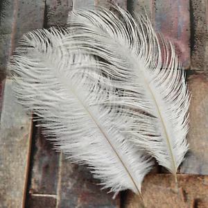OSTRICH FEATHERS 65-70 CM 5 COLOURS WEDDING ARTS AND CRAFTS DECORATION - Picture 1 of 9