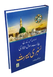 Urdu: Sunehri Seerat (Golden Seerah for the Young) (HB - DS) - Picture 1 of 3