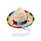  Pet Decor Hat Funny Beautiful Colorful Woven for Dog Cat Pet (Large Size,