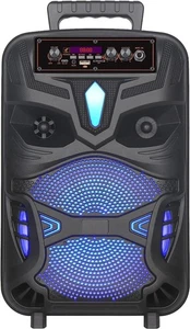 RED5 Wireless Karaoke Light Up Speaker with Microphone and Remote Control - Picture 1 of 7