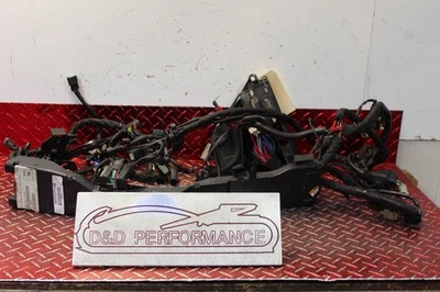 Harley Davidson Electra Glide 2014 arnés de cableado ABS principal 69200120 EG133 Foto 1 de 4