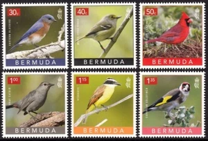 BERMUDA 2023 BIRDS BACKYARD OISEAUX VOGEL UCCELLO AVES - Picture 1 of 1