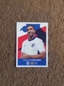 💥CALLUM WILSON 2024 M&S COLECCIÓN OFICIAL DE PEGATINAS PANINI DE INGLATERRA  - Imagen 1 de 2