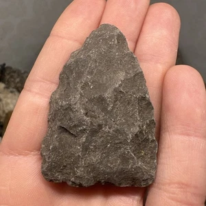 MLC 954 1 7/8” Paleo Arcaico Lanceolado Punta de Flecha Maryland Artefacto X Dudkewitz - Imagen 1 de 6
