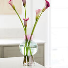 Vase Glasvase Blumenvase Tischdeko Trending Modern Deko