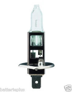 H1 Narva Autolampe 12V 55W P14,5s R37 48320 - Bild 1 von 1