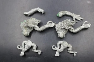 Warhammer Fantasy Skaven Rat Ogres x2 Metal - Picture 1 of 2