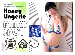 Shoko Takahashi JUICYHONEY Vol.43 Lencería Pinky Spot Tarjeta Coleccionable Edición Limitada 26 - Imagen 1 de 2