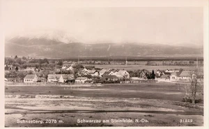 Foto-AK SCHWARZAU AM STEINFELD /N. Ö. /NEUNKIRCHEN Wohnhäuser, Schneeberg 1943 - Bild 1 von 1