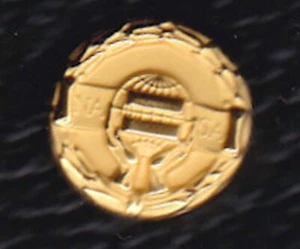 SPILLA RISVOLTO MEDAGLIA MEDAGLIA NASA EQUAL EMPLOYMENT OPPORTUNITY - Foto 1 di 1