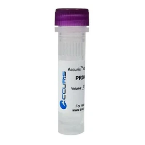 Mezcla Accuris PR3040-M-4 40mM dNTP (10mM/80μm cada una), 2ml - Imagen 1 de 1
