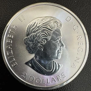 2020 Canada $2 1/2oz Red Tailed Hawk .9999 Fine Silver Coin - Picture 1 of 2