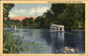 Barco con fondo de cristal en hermosos resortes plateados Florida 1950 postal de colección - Imagen 1 de 2