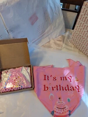 Kit Accesorios Fiesta Cumpleaños Perro Mujer - Globos, Bandanas y Más Nuevo Foto 1 de 4