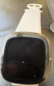 Fitbit Sense Wristband Activity Tracker - Lunar White/Platinum (521SRWT) - Picture 1 of 3
