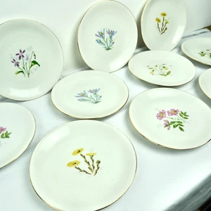 10 VTG Hakefors Flora Plates Sweden 6.5 inches Flowers White Porcelain Dessert - Picture 1 of 9