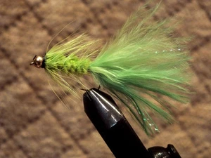 Woolly Bugger Beadhead Streamer Size 12 Chartreuse Green - 1 Dozen F788 - Picture 1 of 1